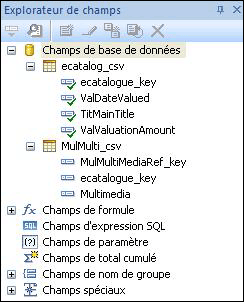 Modifier le rapport